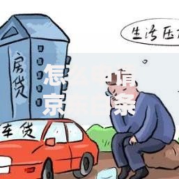 怎么申请京东白条贷款?超详细步骤解析,新手一看就懂 怎么申请京东白条贷款?超详细步骤解析,新手一看就懂