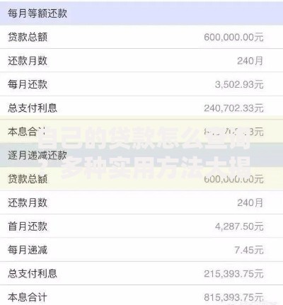 自己的贷款怎么查询？多种实用方法大揭秘，小白也能快速学会
