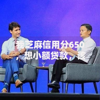 我芝麻信用分650，想小额贷款，该怎么操作呢？