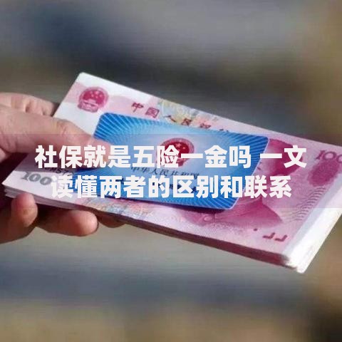 社保就是五险一金吗 一文读懂两者的区别和联系