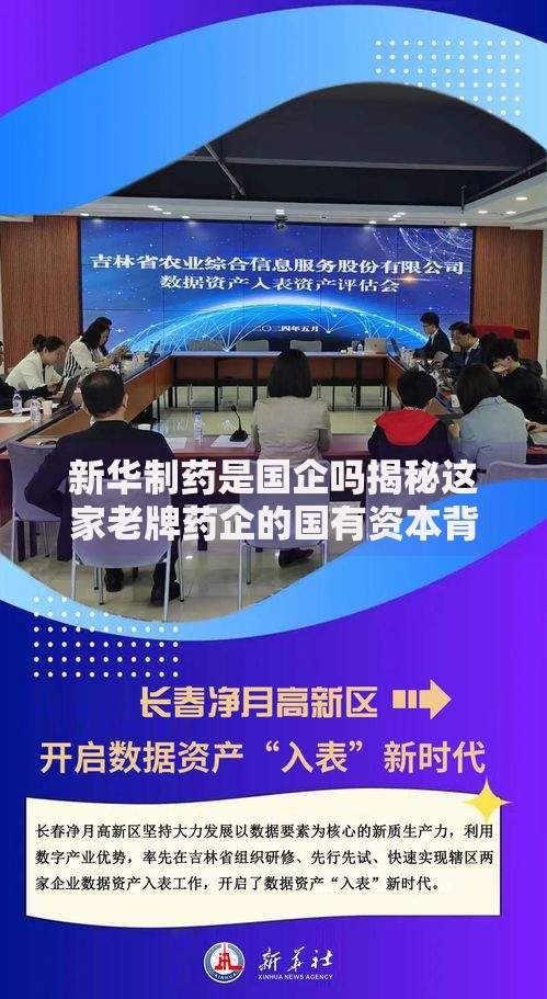 新华制药是国企吗揭秘这家老牌药企的国有资本背景