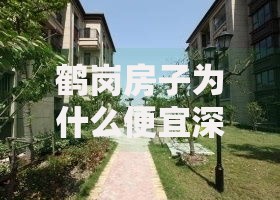 鹤岗房子为什么便宜深度解析低价背后的真实原因与真相