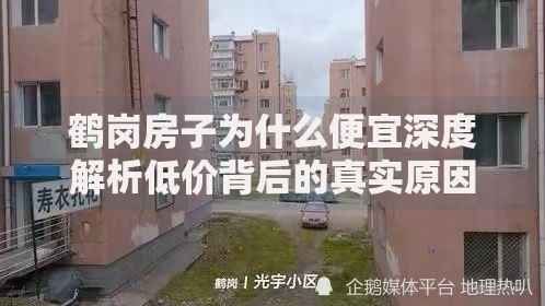 鹤岗房子为什么便宜深度解析低价背后的真实原因与真相