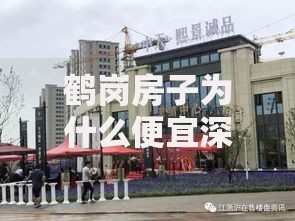 鹤岗房子为什么便宜深度解析低价背后的真实原因与真相