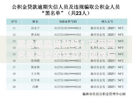 黑名单能贷款吗?不同黑名单类型的贷款可能性与操作指南 黑名单能贷款吗?不同黑名单类型的贷款可能性与操作指南
