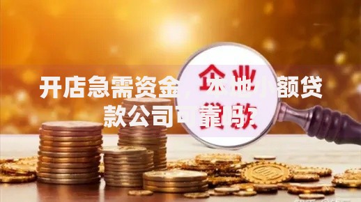 开店急需资金，本地小额贷款公司可靠吗？