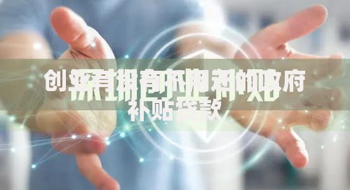 创业有没有不用还的政府补贴贷款 创业有没有不用还的政府补贴贷款