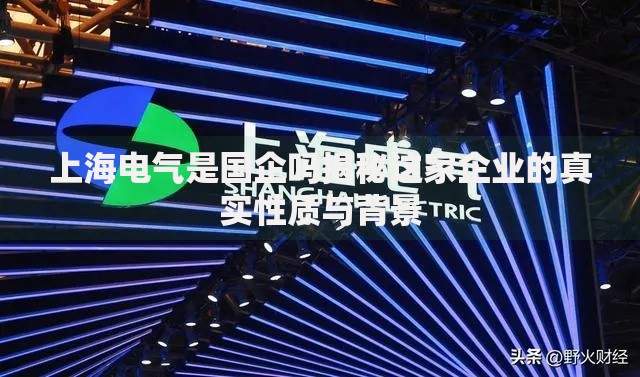 上海电气是国企吗揭秘这家企业的真实性质与背景