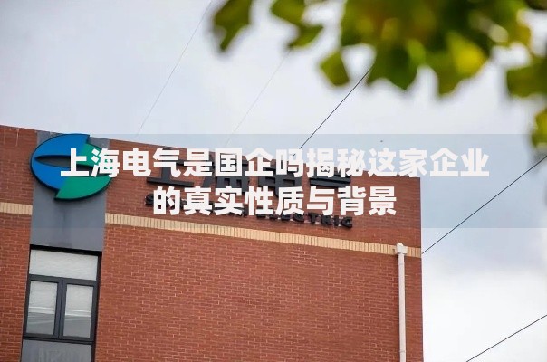 上海电气是国企吗揭秘这家企业的真实性质与背景
