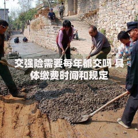 交强险需要每年都交吗 具体缴费时间和规定