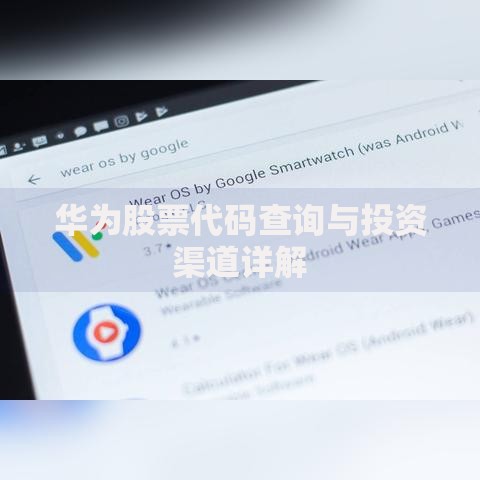 华为股票代码查询与投资渠道详解