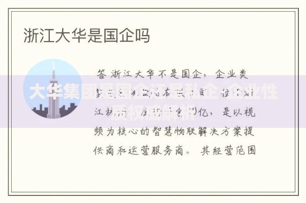 大华集团是国企还是私企-企业性质权威解析