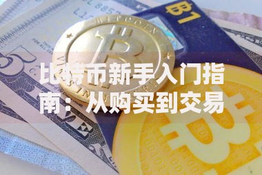 比特币新手入门指南：从购买到交易的全流程详解
