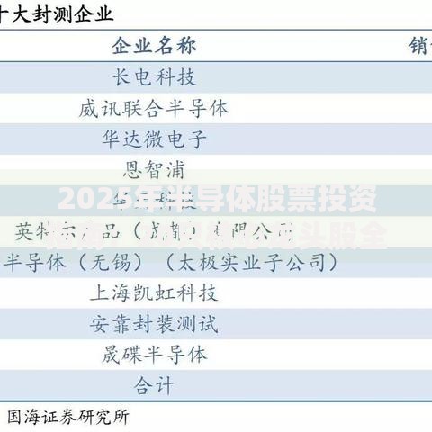 2025年半导体股票投资指南：20只核心龙头股全解析