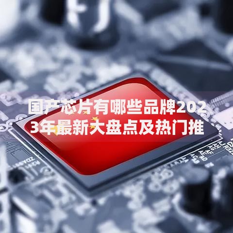 国产芯片有哪些品牌2023年最新大盘点及热门推荐榜单解析