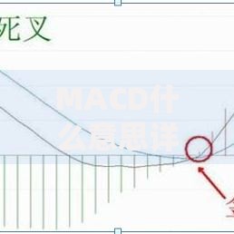MACD什么意思详解新手必看的基础到实战全面指南