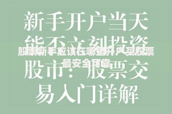 股票新手应该在哪里开户买股票最安全可靠