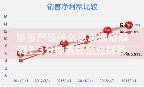 净资产是什么意思通俗解释？3分钟看懂企业财务核心指标
