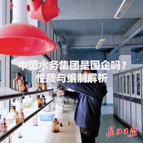 中国水务集团是国企吗？性质与编制解析