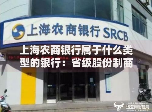 上海农商银行属于什么类型的银行：省级股份制商业银行详解