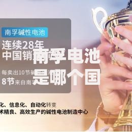 南孚电池是哪个国家的品牌揭秘中国电池巨头南孚的发展历程 南孚电池是哪个国家的品牌揭秘中国电池巨头南孚的发展历程