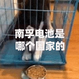 南孚电池是哪个国家的品牌揭秘中国电池巨头南孚的发展历程 南孚电池是哪个国家的品牌揭秘中国电池巨头南孚的发展历程