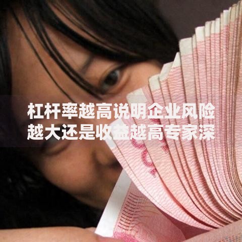 杠杆率越高说明企业风险越大还是收益越高专家深度解析