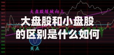 大盘股和小盘股的区别是什么如何根据市值和流通股本划分