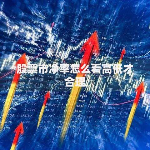 股票市净率怎么看高低才合理