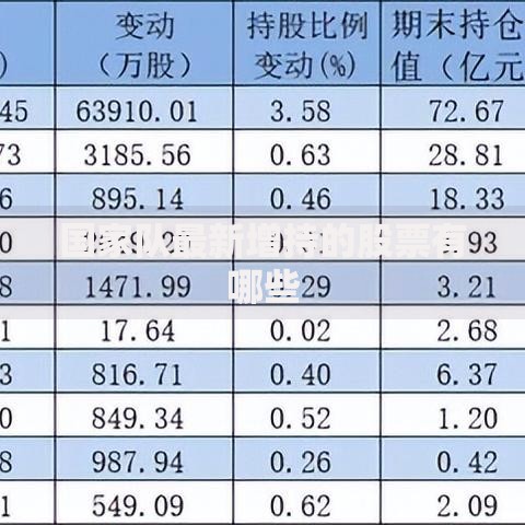 国家队最新增持的股票有哪些