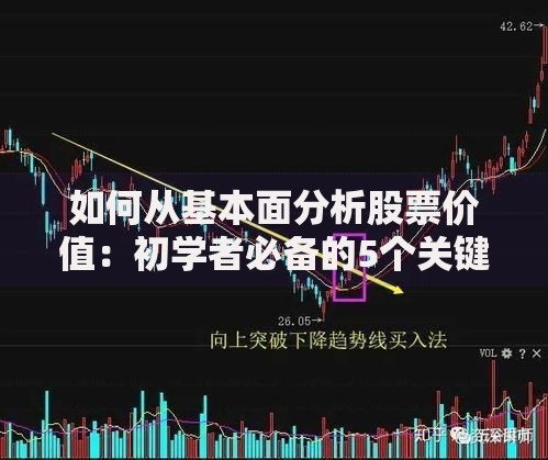 如何从基本面分析股票价值：初学者必备的5个关键指标解析