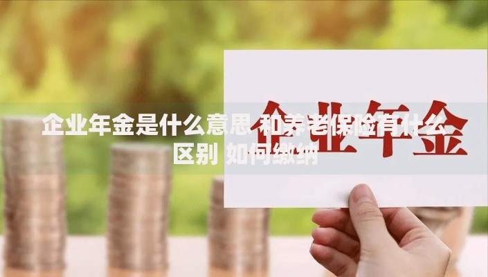 企业年金是什么意思 和养老保险有什么区别 如何缴纳