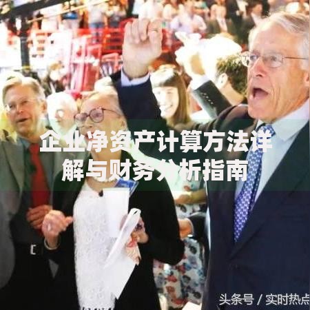 企业净资产计算方法详解与财务分析指南