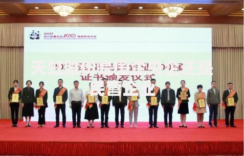 天虹股份是国企央企还是民营企业