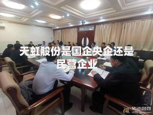 天虹股份是国企央企还是民营企业