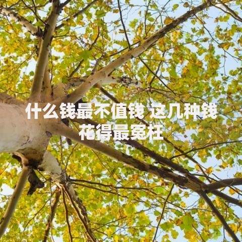 什么钱最不值钱 这几种钱花得最冤枉