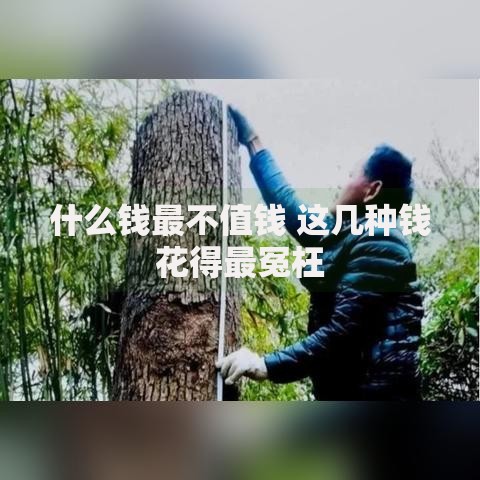 什么钱最不值钱 这几种钱花得最冤枉