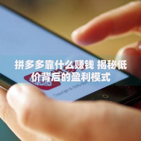 拼多多靠什么赚钱 揭秘低价背后的盈利模式