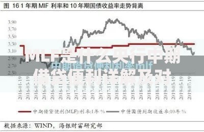 MLF是什么央行中期借贷便利详解及对金融市场的影响