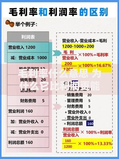 毛利率什么意思 为什么它比利润更能揭示企业赚钱能力