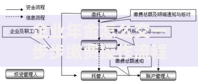 企业年金怎么交一步步缴费操作流程详解