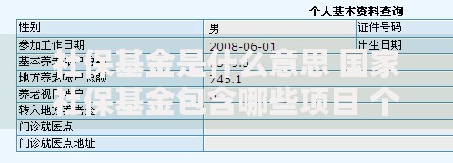 社保基金是什么意思 国家社保基金包含哪些项目 个人如何查询社保基金账户