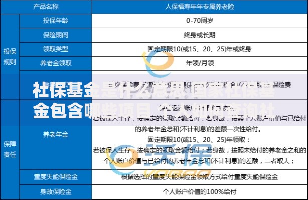 社保基金是什么意思 国家社保基金包含哪些项目 个人如何查询社保基金账户