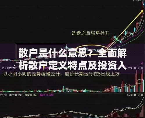 散户是什么意思？全面解析散户定义特点及投资入门技巧