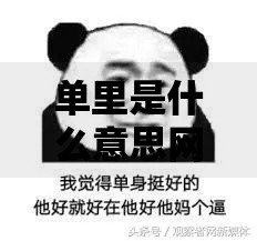 单里是什么意思网络用语解析 单里是什么梗背后的文化现象
