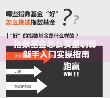 指数基金怎么买最划算 新手入门实操指南