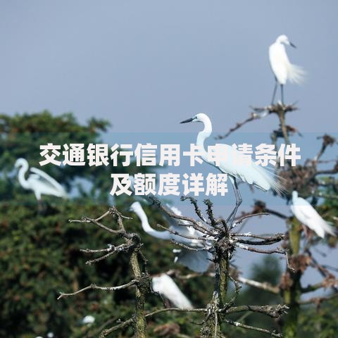 交通银行信用卡申请条件及额度详解 交通银行信用卡申请条件及额度详解