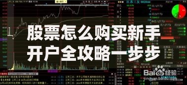 股票怎么购买新手开户全攻略一步步教你轻松买入第一股 股票怎么购买新手开户全攻略一步步教你轻松买入第一股