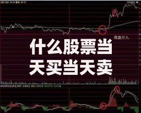 什么股票当天买当天卖 2024年T+0股票名单大全投资指南速查