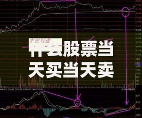 什么股票当天买当天卖 2024年T+0股票名单大全投资指南速查